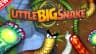 LittleBigSnake.io
